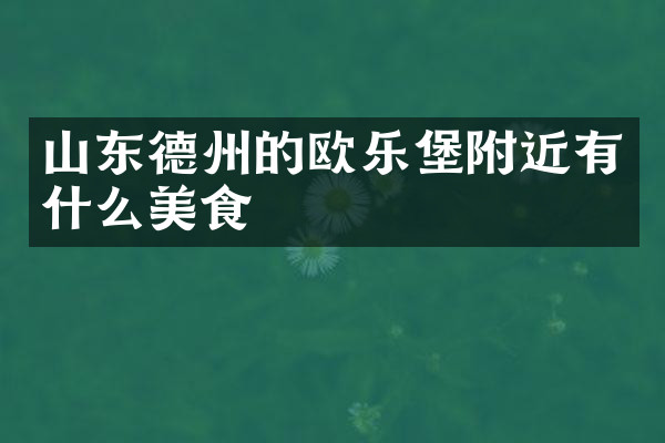 山东德州的欧乐堡附近有什么美食