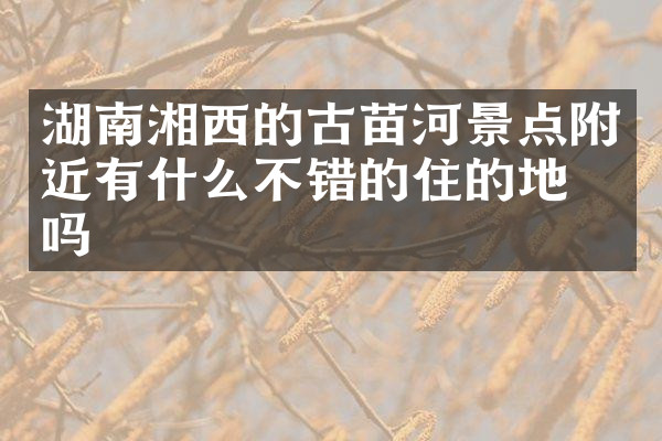 湖南湘西的古苗河景点附近有什么不错的住的地方吗