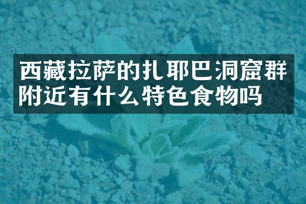 西藏拉萨的扎耶巴洞窟群附近有什么特色食物吗