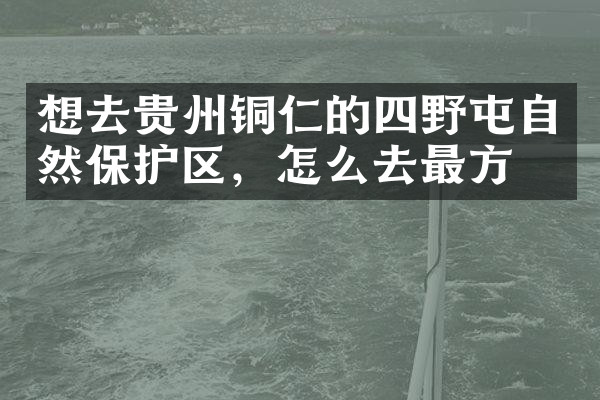想去贵州铜仁的四野屯自然保护区，怎么去最方便