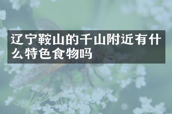 辽宁鞍山的千山附近有什么特色食物吗