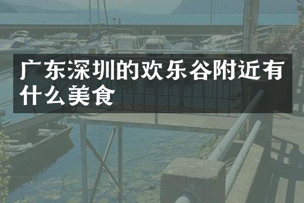 广东深圳的欢乐谷附近有什么美食