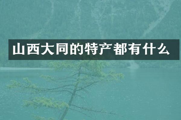 山西大同的特产都有什么