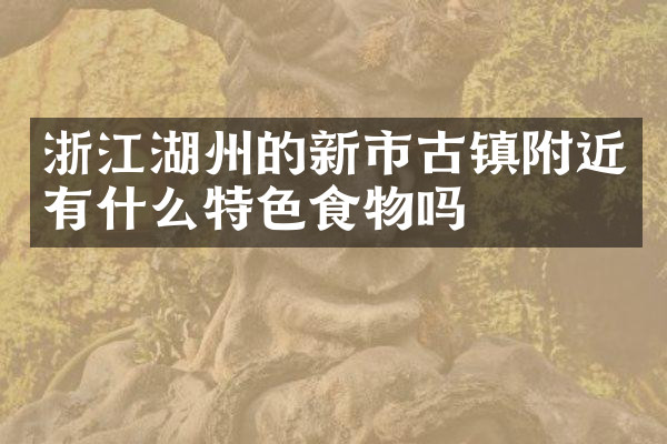 浙江湖州的新市古镇附近有什么特色食物吗