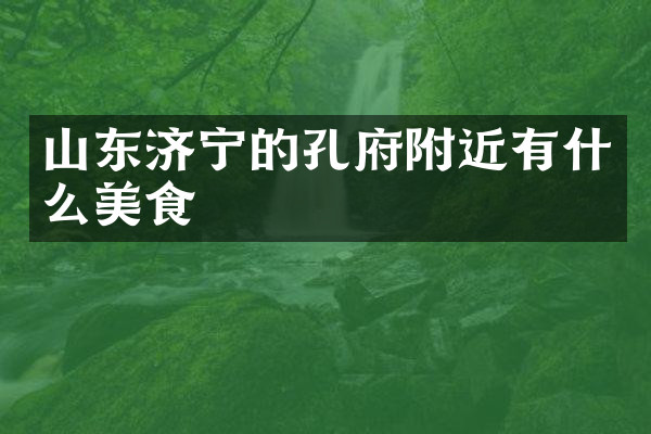山东济宁的孔府附近有什么美食