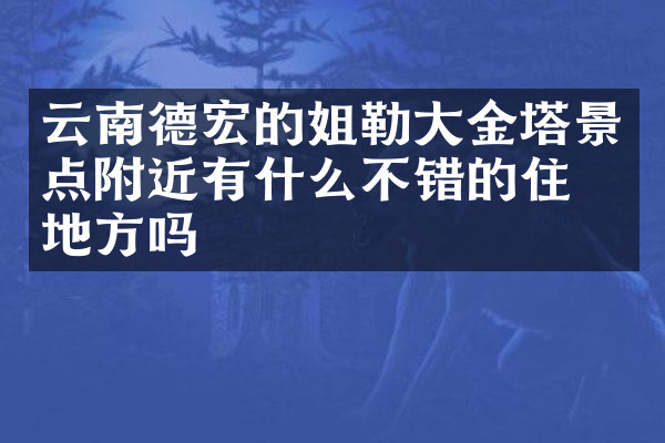 云南德宏的姐勒大金塔景点附近有什么不错的住的地方吗