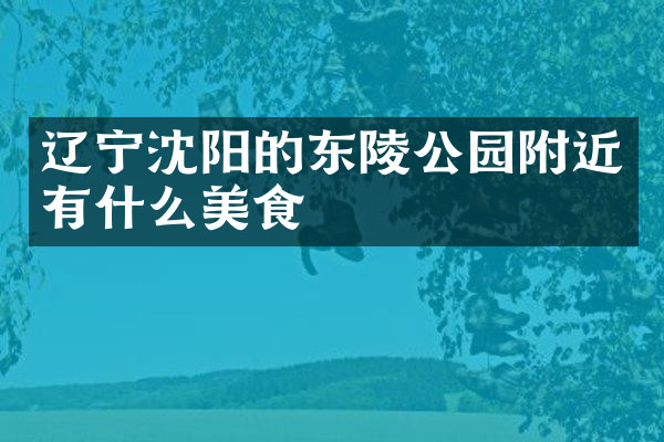辽宁沈阳的东陵公园附近有什么美食