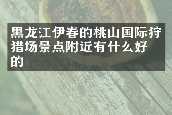 黑龙江伊春的桃山国际狩猎场景点附近有什么好吃的