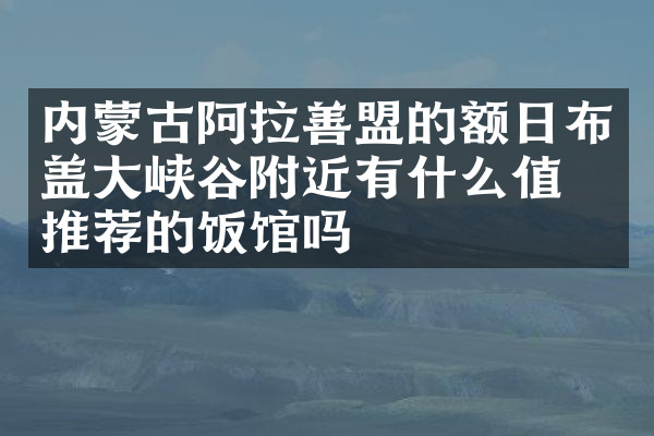 内蒙古阿拉善盟的额日布盖大峡谷附近有什么值得推荐的饭馆吗