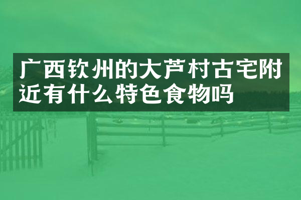 广西钦州的大芦村古宅附近有什么特色食物吗