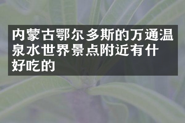 内蒙古鄂尔多斯的万通温泉水世界景点附近有什么好吃的