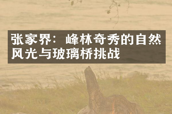 张家界：峰林奇秀的自然风光与玻璃桥挑战