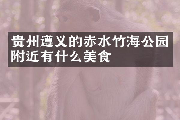 贵州遵义的赤水竹海公园附近有什么美食