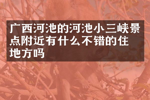 广西河池的河池小三峡景点附近有什么不错的住的地方吗