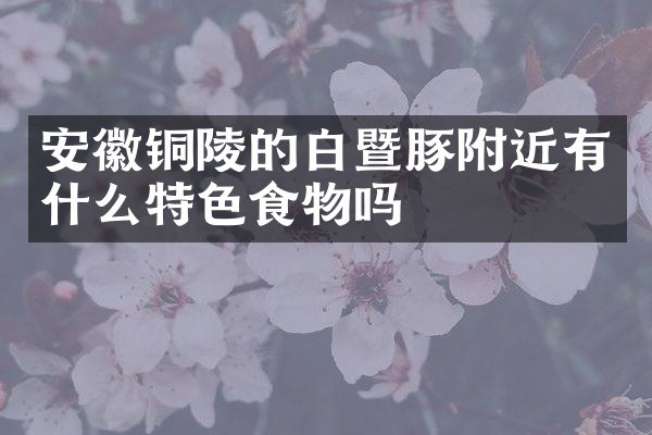 安徽铜陵的白暨豚附近有什么特色食物吗