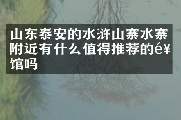 山东泰安的水浒山寨水寨附近有什么值得推荐的饭馆吗