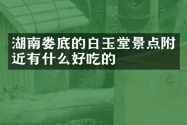 湖南娄底的白玉堂景点附近有什么好吃的
