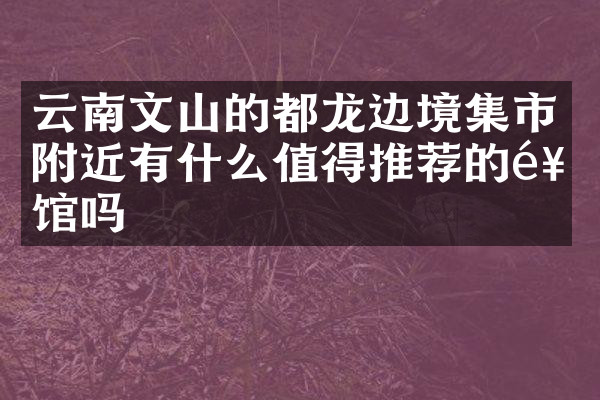 云南文山的都龙边境集市附近有什么值得推荐的饭馆吗