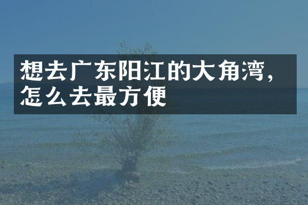 想去广东阳江的大角湾，怎么去最方便