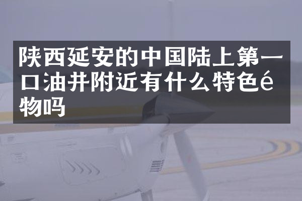陕西延安的中国陆上第一口油井附近有什么特色食物吗