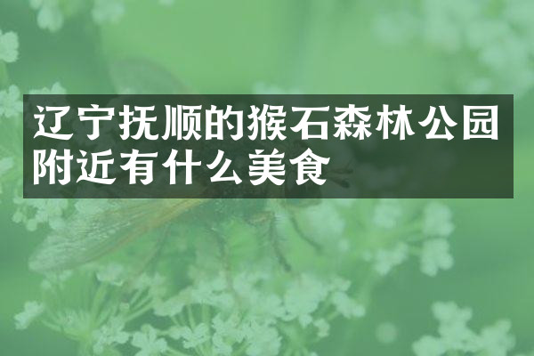 辽宁抚顺的猴石森林公园附近有什么美食