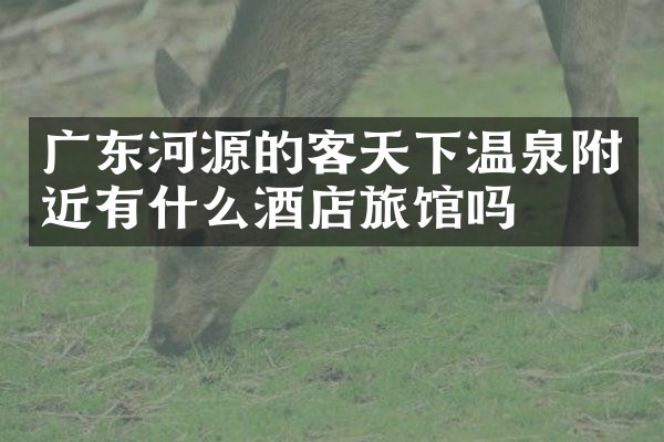 广东河源的客天下温泉附近有什么酒店旅馆吗