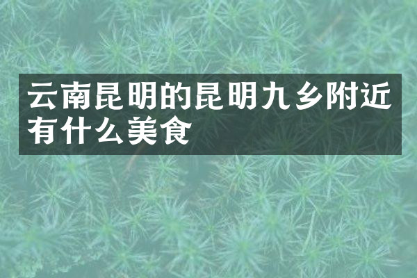 云南昆明的昆明九乡附近有什么美食