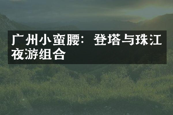 广州小蛮腰：登塔与珠江夜游组合