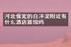 河北保定的白洋淀附近有什么酒店旅馆吗