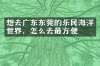想去广东东莞的乐民海洋世界，怎么去最方便