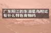 广东阳江的东湖星岛附近有什么特色食物吗
