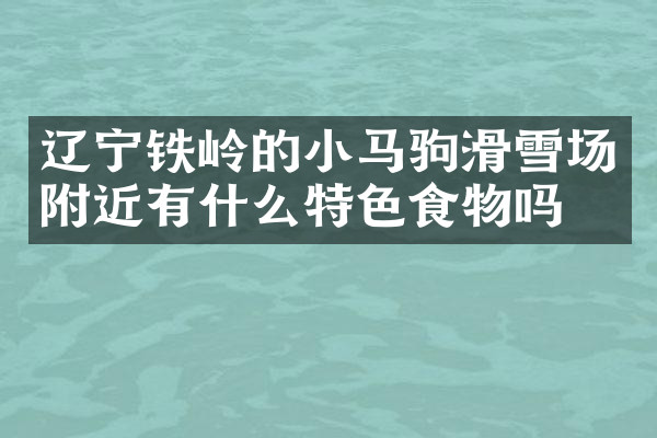 辽宁铁岭的小马驹滑雪场附近有什么特色食物吗