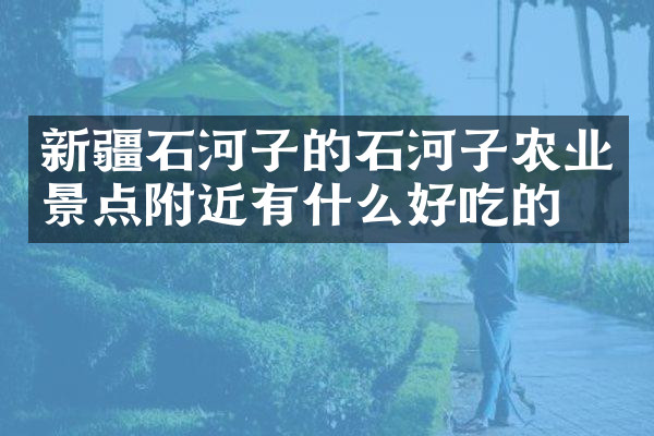 新疆石河子的石河子农业景点附近有什么好吃的