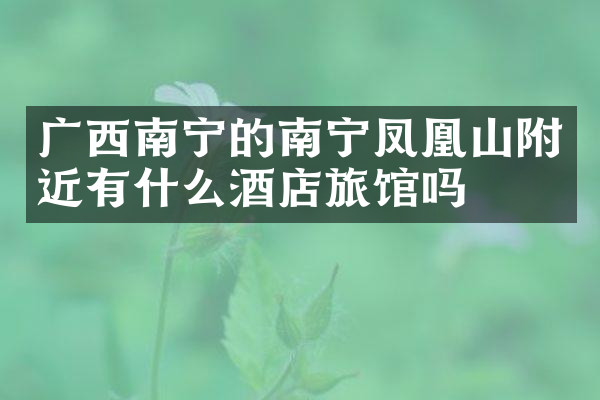 广西南宁的南宁凤凰山附近有什么酒店旅馆吗