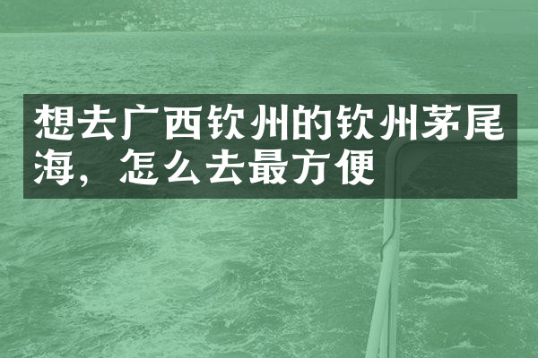 想去广西钦州的钦州茅尾海，怎么去最方便