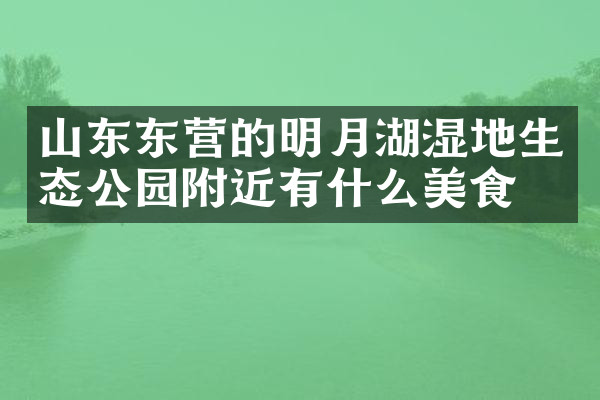 山东东营的明月湖湿地生态公园附近有什么美食