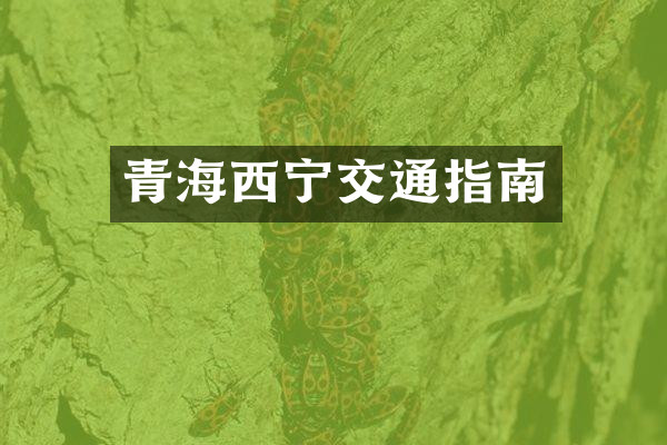青海西宁交通指南