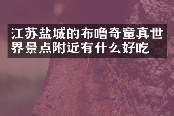 江苏盐城的布噜奇童真世界景点附近有什么好吃的