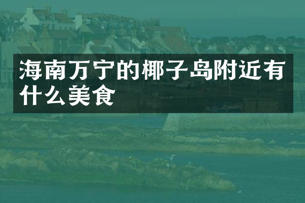 海南万宁的椰子岛附近有什么美食