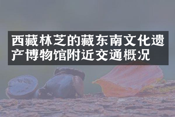 西藏林芝的藏东南文化遗产博物馆附近交通概况
