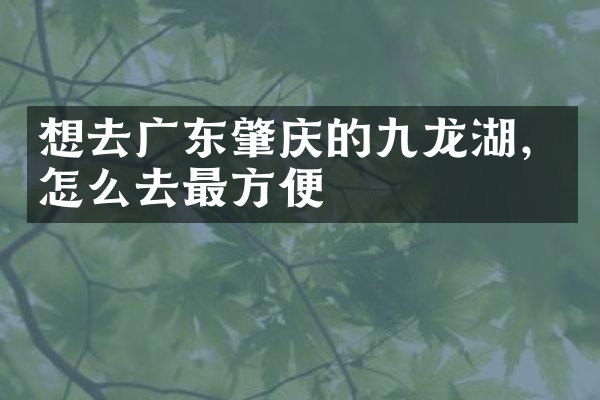 想去广东肇庆的九龙湖，怎么去最方便