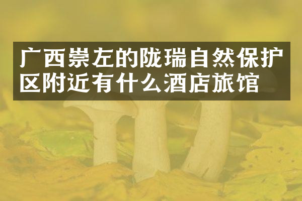 广西崇左的陇瑞自然保护区附近有什么酒店旅馆吗