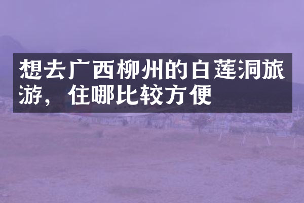 想去广西柳州的白莲洞旅游，住哪比较方便