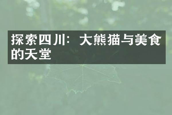 探索四川：大熊猫与美食的天堂
