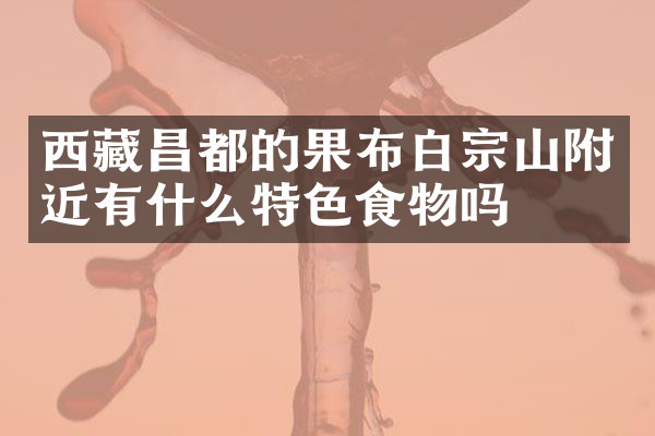 西藏昌都的果布白宗山附近有什么特色食物吗