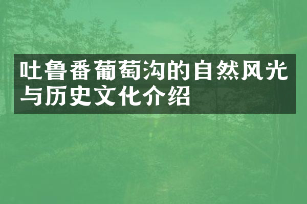 吐鲁番葡萄沟的自然风光与历史文化介绍