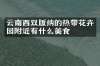 云南西双版纳的热带花卉园附近有什么美食