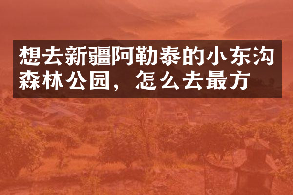 想去新疆阿勒泰的小东沟森林公园，怎么去最方便