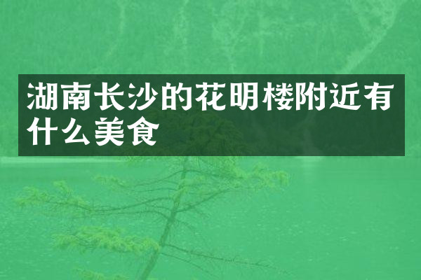 湖南长沙的花明楼附近有什么美食