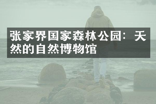 张家界国家森林公园：天然的自然博物馆
